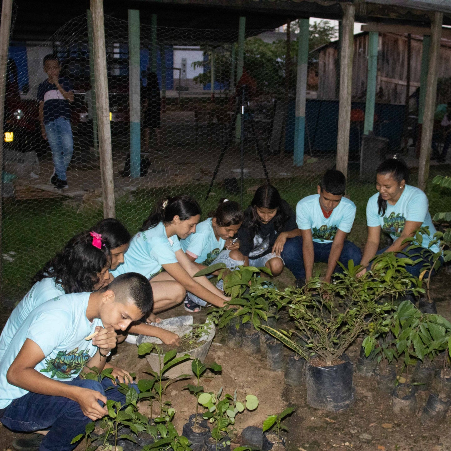 Forest school