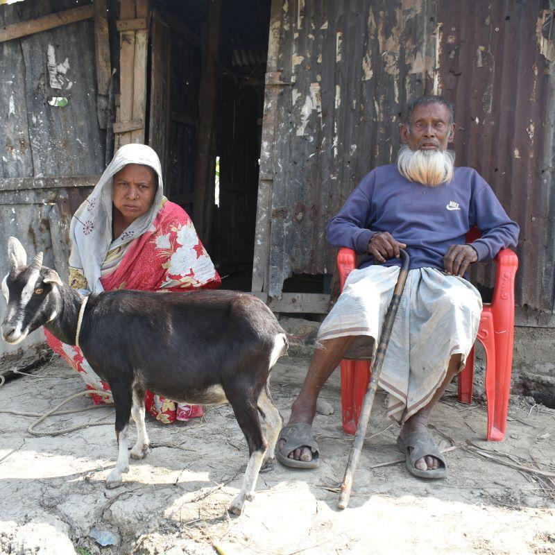 The goat that gives for schools