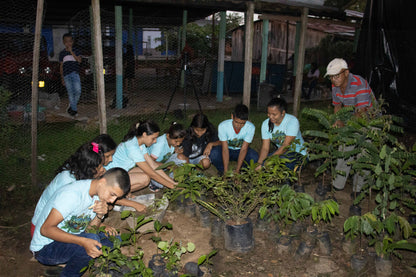 Forest school for schools