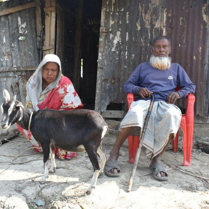 The goat that gives for schools