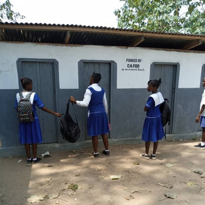 Terrific toilet for schools