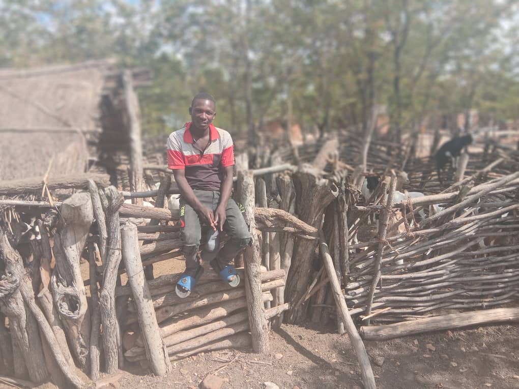 A man sitting on a wooden livestock pen in a rural setting, with goats visible in the background amongst trees