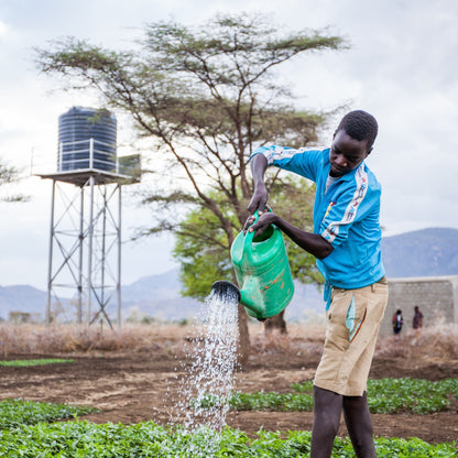 Water for a family